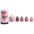 5Pcs Makeup Sponge Set Blender Makeup Tools - vividbella